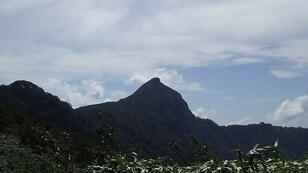 「都会風を吹かさない」田舎暮らし七か条が話題の福井県池田町はどんな町？「日本の滝百選入り」「福井のマッターホルン」名所