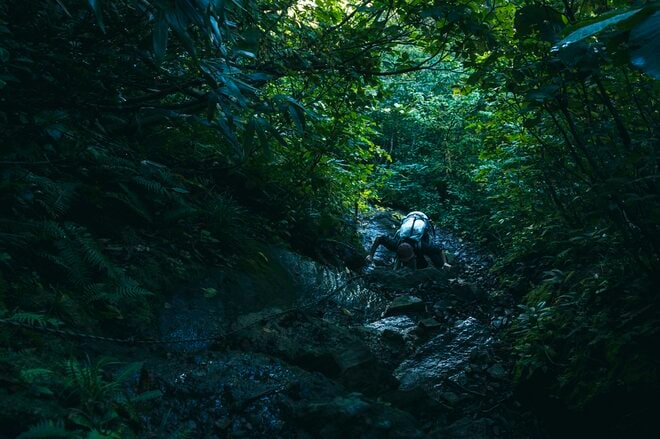 【登山】 “夏と秋、雨と晴れの狭間で揺れ動く景色” ワンチャンあるか！？ 「浅草岳」へ　新潟県魚沼市｜2026年の画像006