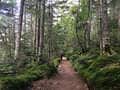 一度は登りたい「広い山頂」が絶景の山！ 眼下の眺めも良いけれど「大湿原・岩塊の大地」頂上エリアこそ見どころ【蓼科山／硫黄岳／苗場山】 の画像006