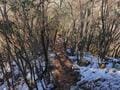 足元から広がる「ほぼ360度」絶景！  山頂手前の岩稜「白髪岳」からのダイナミックな展望は冬がおすすめ！  2時間ハイキングレポ【兵庫県丹波篠山市】の画像007