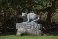 2.22（にゃんにゃんにゃんの日）「野生のヤマネコが暮らす、国境の島」へ【琉球島猫百景〈特別編〉長崎県・対馬】の画像002
