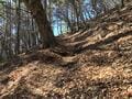 秋山登山の思いもよらないリスクとは！？  初心者だった自分の実体験＆今は絶対にやっている対策！  4選レポートの画像003