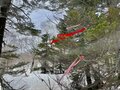 【期間限定】春の2週間だけ滑れるプレミアムな山！  残雪期の至仏山〈群馬県〉2022年の画像004