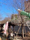 【北海道の温泉】ゴールデンウィーク・定山渓温泉渓流鯉のぼり開催中！ 「足湯と神社めぐり」札幌の奥座敷・定山渓（じょうざんけい）温泉を満喫！ 2022年の画像004
