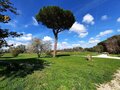 イタリア在住ライターが2千年前の港跡を歩く！  ローマ近郊・日帰り遺跡ハイキング【ブーツの国の街角で vol.21「フィウミチーノ」イタリア／ラツィオ州】の画像003
