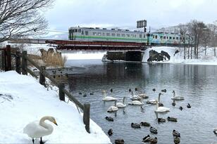 いまさら聞けない…でも今こそ知るべき「青春18きっぷ」の基礎知識！  改定のポイント＆プランニング事例「元JR駅員」がまとめました！