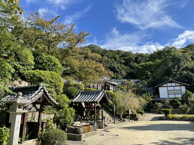 天下人・三好長慶の居城「飯盛城跡」で「絶景のハシゴ」を楽しめる＜歴史巡り里山ハイキング＞とは？【里山アドベンチャー！ソトアソ日和 vol.9】の画像007