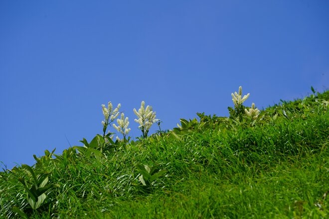 首都圏からのアクセス抜群！ 日帰り登山でもアルペン気分「谷川岳」 特徴的な双耳峰で人気の百名山の画像013