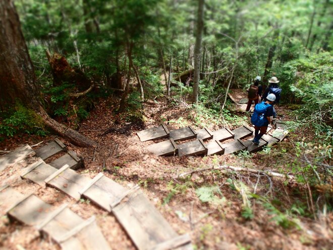 尾瀬の穴場「田代山湿原」可憐なオサバグサに会える天空のトレイルをいく！ 2022年／福島県・栃木県の画像007