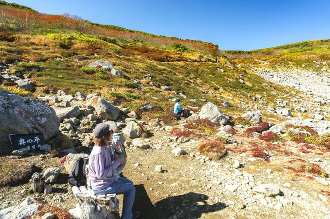 真っ盛りの紅葉を抜け、荒涼とした山頂部へ！  シマリス駆ける北海道、大雪山「赤岳」の美しすぎる絶景・紅葉狩り登山  2024年の画像006