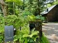 国民的「避暑＆別荘」地でハイキング！  中軽井沢「小浅間山」 下山あとはグルメ・カフェで “ご当地” 堪能！ 「涼しい高原リゾートの1日」満喫レポ【長野県軽井沢町】の画像008