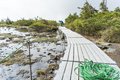 登山道整備完了！ 最新ルート状況「栂池高原〜白馬乗鞍岳〜白馬岳」＜北アルプス＞の画像004