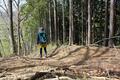 絶景の「陣馬山」登山口から1時間で登頂コース！ 「陣馬高原下バス停」スタート「和田バス停」下山「山頂茶屋でのんびり」自然林ハイキングの画像009