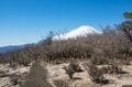 【首都圏近郊で3月末に登るなら】富士山の大展望台「三国山（鉄砲木ノ頭）」がおすすめなわけの画像014