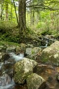 【コージー中嶋のTrip＆Activity！】前日泊でゆとりをもっての出発もよし、下山後に温泉で疲れを癒すもよし！  大人のエンジョイ登山【大江戸温泉物語 ホテル新光 de 大菩薩嶺登山編】の画像020