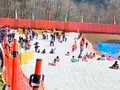 名古屋から片道1時間半以内！  日帰りにちょうどいい「ファミリー向けスキー場」3選！  うれしい「そり専用」コース＆珍しい「樹氷」スポットもの画像001