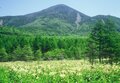 【秋山を満喫！日帰りで行く百名山・第5回】広大な山頂は見渡す限り“岩塊”だらけ！ 360度の大展望が魅力の「蓼科山」の画像002