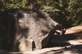 伝説のフリークライマーに聞く、五輪新競技クライミングの足跡 ＜前編＞の画像005