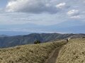 早春の「足ならし」に登りたい！ 都心から「日帰りOK」＆登山口と山頂「往復で3時間以内」絶景の山3選の画像003