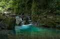 「10月に入ったけれど…… まだ渓流釣りができる自然河川」 秋の気配漂う静岡・芝川でフライフィッシング！ 美しいアマゴと銀ピカのニジマスに出会うの画像003