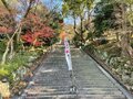 12年に一度「辰年にしか見れないお宝」を拝観。大阪近郊冬ハイキング満喫ルート【里山アドベンチャー！ソトアソ日和 vol.13】の画像002