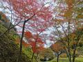 「京都のとなり」の静かな紅葉名所「丹波篠山もみじ三山」寺めぐり！  11月30日までの絶景「古刹の優美」現地レポの画像002