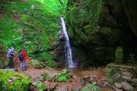 【梅雨時にこそ歩きたい】みずみずしい新緑と水の音に癒される滝見ハイクルート「御岳ロックガーデン編」【今日も山旅気分 vol.31】