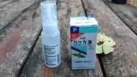 どのぐらい効く！？ 「ハッカ油」で自作「虫除けスプレー」使って実証してみた！ 「溶液30ml・5段階」レポート【低山ハイキングの備えに】