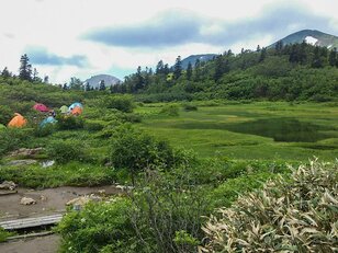 油断が重なりまさかの事態に… 恐怖のアウトドア実体験！  登山中に「クマと遭遇」！  とっさの退避手順と対処方法とは？