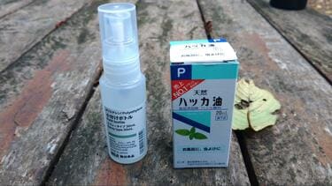どのぐらい効く！？ 「ハッカ油」で自作「虫除けスプレー」使って実証