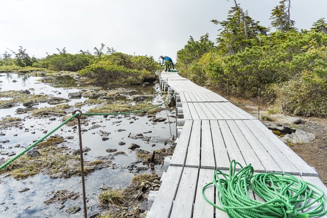 登山道整備完了！ 最新ルート状況「栂池高原〜白馬乗鞍岳〜白馬岳」＜北アルプス＞の画像004