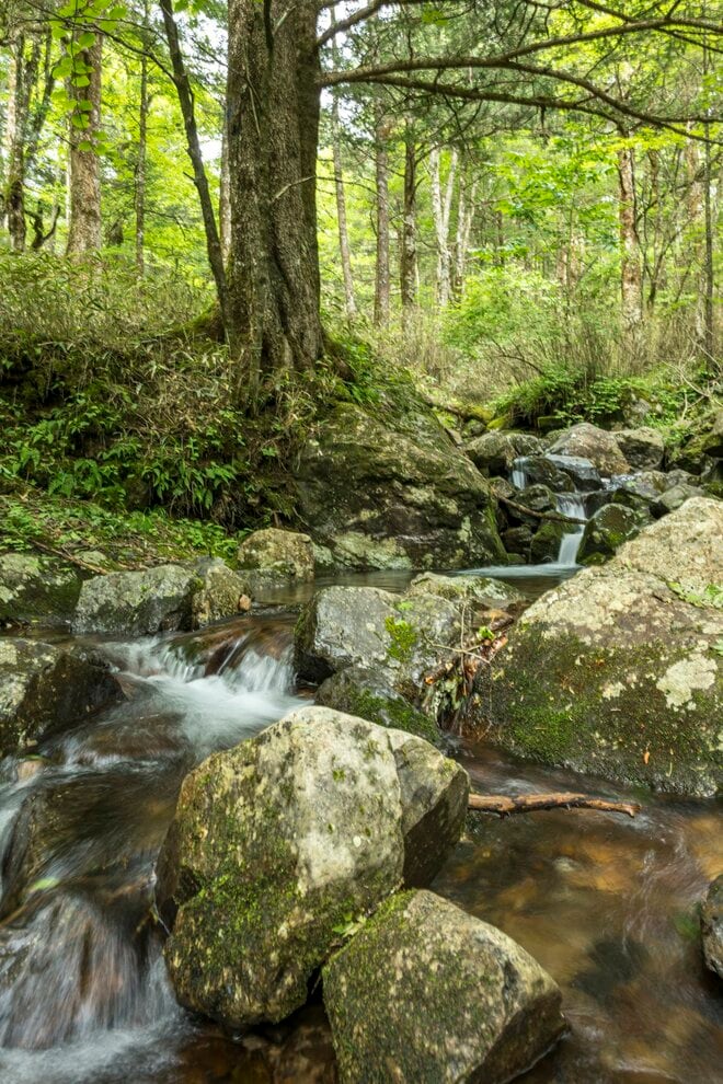 【コージー中嶋のTrip＆Activity！】前日泊でゆとりをもっての出発もよし、下山後に温泉で疲れを癒すもよし！  大人のエンジョイ登山【大江戸温泉物語 ホテル新光 de 大菩薩嶺登山編】の画像020