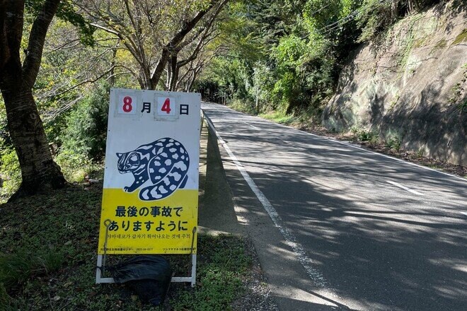 2.22（にゃんにゃんにゃんの日）「野生のヤマネコが暮らす、国境の島」へ【琉球島猫百景〈特別編〉長崎県・対馬】の画像004