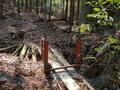 ゴールデンウィークには「ツツジ」が彩る、丹波「向山連山」 ユニーク岩たどる低山縦走＆「黒井城跡」見下す絶景レポート【兵庫県丹波市】の画像003