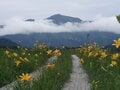 「山旅」の常識が変わる！  初心者の宿泊の不安解消「LUCY尾瀬鳩待 by 星野リゾート」で叶えるワンランク上の尾瀬ハイク【群馬県片品村】の画像023