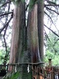 女性や子どもの守り神も！「岩戸伝説」が伝わる強力パワースポット、創建2000年を超える戸隠神社の5社を掘り下げる！の画像004