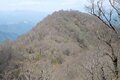 【首都圏近郊ハイキング】5月でもまだ花見ができる山「西丹沢・檜洞丸」への画像018