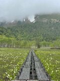 ＜6月は雨でも楽しめる山に登ろう＞ 外国人YouTuberが見た「雨の尾瀬」の魅力【日本で山登りはじめました vol.1】の画像006