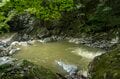 【渓流釣り】シーズン終盤！  秋の気配が漂いだした雨後の渓、堰堤の主を釣る  長野県・2025年の画像003