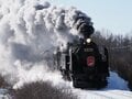 「えっ！？　汽車の窓からタンチョウが！」鉄道で楽しむ冬の旅【北海道・厳冬の釧路湿原レポート（4）SL冬の湿原号】の画像001