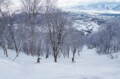 【斑尾高原・長野県】多彩なツリーランコースで通称「マダパウ」に魅了されるの画像005