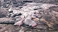 「火山ってそもそもなに？」ときには人々を脅かし恩恵をもたらす「火山」 その正体を考察してみた！の画像002