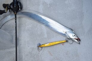人気ジャンルのルアー釣り「ジギング」用アシストフックを自作する！  特別な器具不要の「カンタンな作り方」