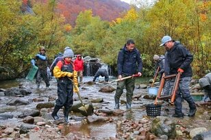 「渓流魚たちがいなくなる前にできることを」 持続できる釣り場環境のために！ 奥只見“人工産卵床造成”参加レポート【2023年・新潟県魚沼市】
