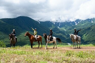 白馬の大人気スポット「白馬岩岳マウンテンリゾート」で絶景ホース