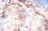 桜の開花ラッシュ直前！ 「心に残る“サクラ”写真を撮るために」“プロが教える ”違いが出る！撮影ひと工夫【2022年】の画像001