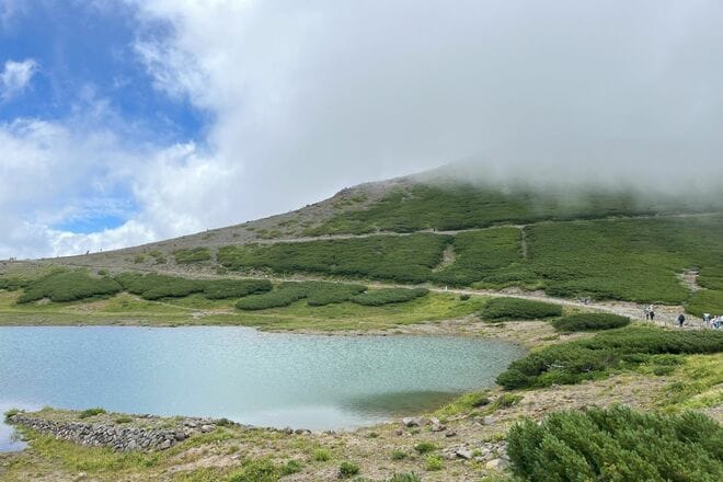 「私が高山帯の林を育てました！ 」 ハイマツと共存共栄する “隠れアイドル” ホシガラスの『貯食』シーンを目撃した【乗鞍岳畳平】2025年の画像010