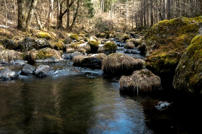 【渓流釣り】春の陽気に誘われて “フライフィッシング” 「4月並みの気温とはいえ、やはり2月…… 水温2℃台で厳しい釣果でした」 長野県・2026年の画像004