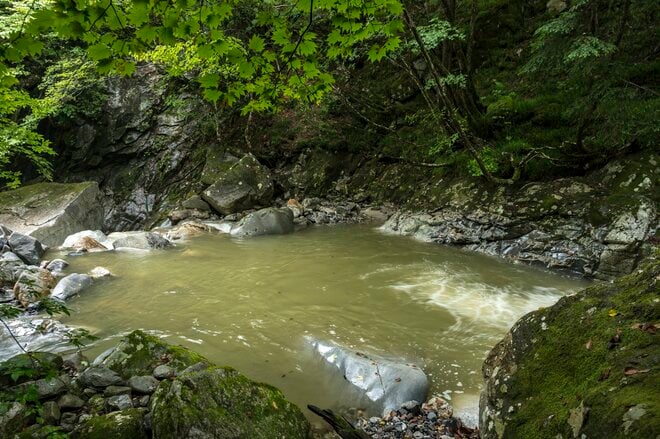 【渓流釣り】シーズン終盤！  秋の気配が漂いだした雨後の渓、堰堤の主を釣る  長野県・2025年の画像003