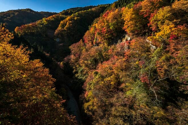 【松川渓谷】紅葉に彩られた赤い橋 “高井橋” から見る絶景！ 信州高山温泉郷・上信越国立公園 2022年の画像001